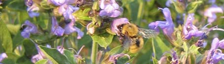 toskanische spezialitäten