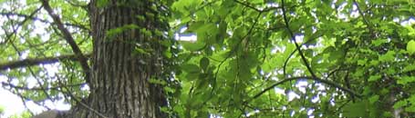 toskanische spezialitäten