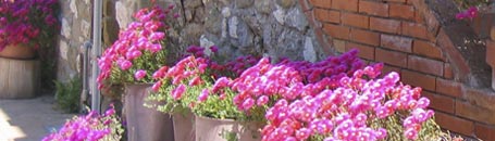 toskanische spezialitäten