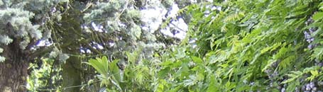 toskanische spezialitäten