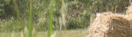 toskanische spezialitäten