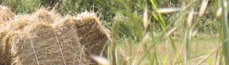 toskanische spezialitäten