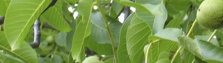 toskanische spezialitäten