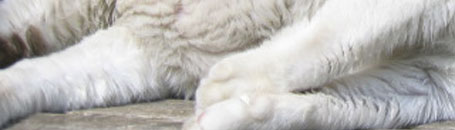 toskanische spezialitäten