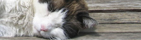 toskanische spezialitäten