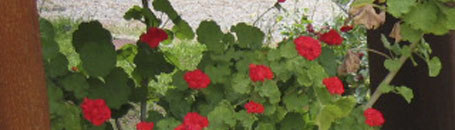 toskanische spezialitäten