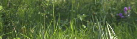 toskanische spezialitäten