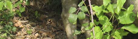 toskanische spezialitäten