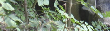 toskanische spezialitäten