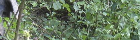 toskanische spezialitäten