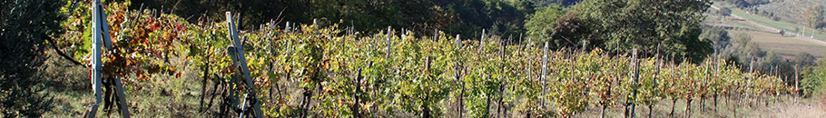 toskanische spezialitäten